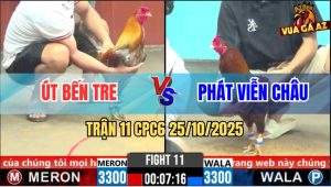 Trận 11 CPC6 25/10/2025 - Xám Bị Chế Vô Trong Kẹp Lại Mấy Chân Về Bờ