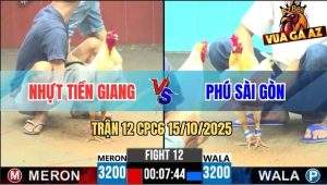 Trận 12 CPC6 15/10/2025 - Úa Anh Phú Né Hay Đâm Tịch Bướm Chạy Mất Dẹp