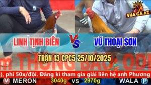 Trận 13 CPC5 25/10/2025 - Anh Linh Tịnh Biên Và Anh Vũ Thoại Sơn
