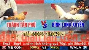 Trận 13 CPC5 31/10/2025 - Anh Thành Tân Phú Và Anh Bình Long Xuyên