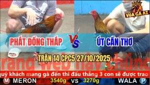 Trận 14 CPC5 27/10/2025 - Anh Phát Đống Tháp Và Anh Út Cần Thơ
