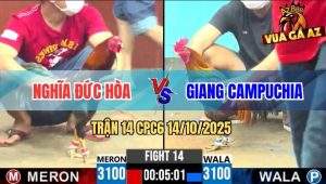 Trận 14 CPC6 14/10/2025 - Điều Cặp Vô Đầu Cần gà Que Tai Biến Hết Cứu
