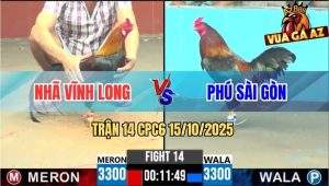 Trận 14 CPC6 15/10/2025 - Que Cọp Anh Phú Đá Điều Không Trượt Phát Nào
