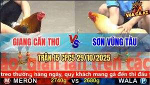 Trận 15 CPC5 29/10/2025 - Anh Giang Cần Thơ Và Anh Sơn Vũng Tàu