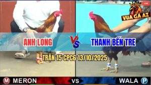 Trận 15 CPC6 13/10/2025 - Trận Gà Căng Thẳng Long 4G Rách Cả Quần