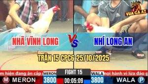 Trận 15 CPC6 26/10/2025 - Úa Chân Xanh Đá Banh Cái Tủ Úa Chân Vàng