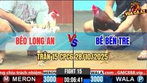 Trận 15 CPC6 28/10/2025 - Bướm Anh Béo Đâm Điều Anh Bé Thở Không Kịp