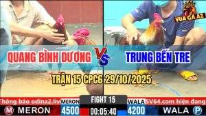 Trận 15 CPC6 29/10/2025 - Gà Xám Anh Trung Xuyên Thủng Ngực Gà Que