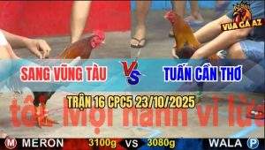 Trận 16 CPC5 23/10/2025 - Điều Chân Xanh Sút 2 Phát Đỏ Gãy Giò Hết Đá