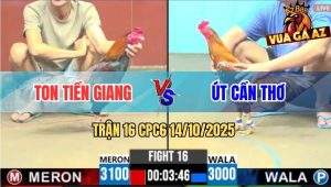 Trận 16 CPC6 14/10/2025 - Xanh Chân Xanh Của Anh Ton Dập Như Máy Khâu