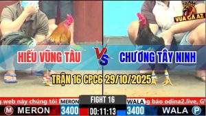 Trận 16 CPC6 29/10/2025 - Gà Điều Gãy Giò Chọt Lại Cây Xanh Rớt Tiền