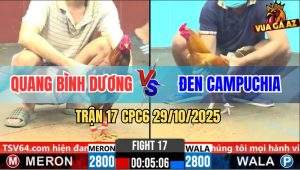 Trận 17 CPC6 29/10/2025 - Khét Vàng Dầy Gà, Khét Đỏ Đá Hết Nổi Bỏ Chạy