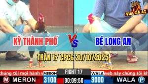 Trận 17 CPC6 30/10/2025 - Gà Điều Anh Kỳ Bối Mấy Cây Gà Bướm Xúc Sên