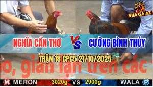 Trận 18 CPC5 21/10/2025 - Anh Nghĩa Cần Thơ Và Anh Cường Bình Thủy