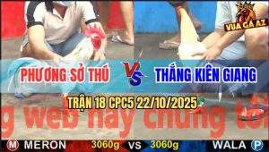 Trận 18 CPC5 22/10/2025 - Anh Phương Sở Thú Và Anh Thắng Kiên Giang