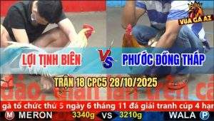 Trận 18 CPC5 28/10/2025 - Anh Lợi Tịnh Biên Và Anh Phước Đồng Tháp