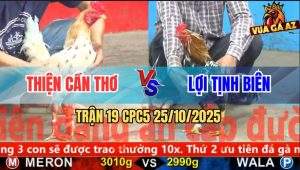 Trận 19 CPC5 25/10/2025 - Anh Thiện Cần Thơ Và Anh Lợi Tịnh Biên