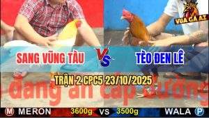 Trận 2 CPC5 23/10/2025 - Úa Sáp Vô Là Cựa Gà Khét Anh Tèo Đen Tốc Chạy