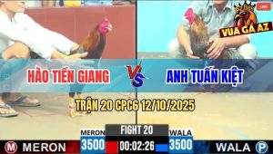 Trận 20 CPC6 12/10/2025 - Điều Anh Hào Sút Cú Anh Tuấn Kiệt Tắt Điện