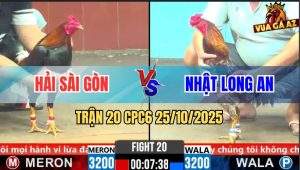 Trận 20 CPC6 26/10/2025 - Điều Chân Xanh Dập Như Máy Khâu Công Nghiệp