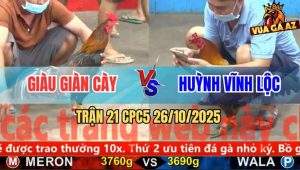 Trận 21 CPC5 26/10/2025 - Anh Giàu Giàn Cày Và Anh Huỳnh Vĩnh Lộc