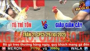 Trận 21 CPC5 29/10/2025 - Anh Tú Trí Tôn Và Anh Giàu Giàn Cày