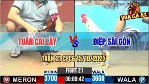 Trận 21 CPC6 15/10/2025 - Điều Việt Lai Anh Tuấn Đâm Cựa Quá Tịch