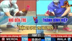 Trận 21 CPC6 20/10/2025 - Gà Que Đá 1 Tăng Xám Cọp Anh Nhí Ho Ra Si Rô