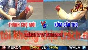 Trận 22 CPC5 16/10/2025 - Anh Thành Chợ Mới Và Anh Xóm Cần Thơ