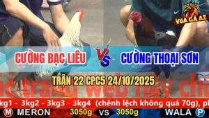 Trận 22 CPC5 24/10/2025 - Anh Cường Bạc Liêu Và Anh Cường Thoại Sơn