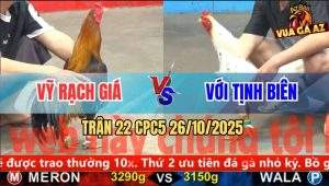 Trận 22 CPC5 26/10/2025 - Anh Vỹ Rạch Giá Và Anh Với Tinh Biên