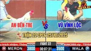 Trận 22 CPC6 25/10/2025 - Bướm Đá Tăng 1 Úa Chân xanh Banh Cái Tủ