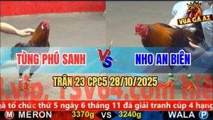 Trận 23 CPC5 28/10/2025 - Anh Tùng Phú Sanh Và Anh Nho An Biên