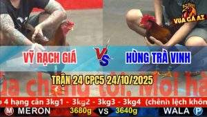 Trận 24 CPC5 24/10/2025 - Anh Vỹ Rạch Giá Và Anh Hùng Trà Vinh