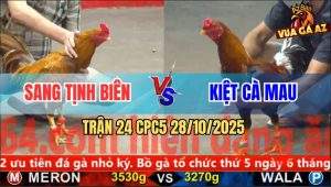 Trận 24 CPC5 28/10/2025 - Anh Sang Tịnh Biên Và Anh Kiệt Cà Mau