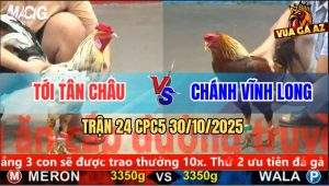 Trận 24 CPC5 30/10/2025 - Anh Tới Tân Châu Và Anh Chánh Vĩnh Long