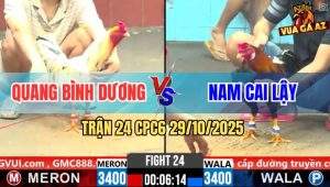 Trận 24 CPC6 29/10/2025 - Bướm Canh Chặn Hay Điều Vô Không Có Cửa Về