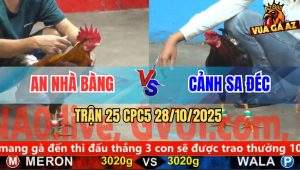 Trận 25 CPC5 28/10/2025 - Anh An Nhà Bàng Và Anh Cảnh Sa Đéc