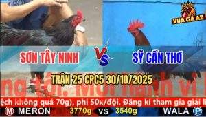 Trận 25 CPC5 30/10/2025 - Anh Sơn Tây Ninh Và Anh Sỹ Cần Thơ