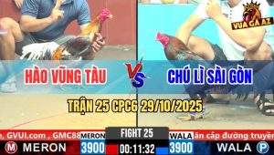 Trận 25 CPC6 29/10/2025 - Xám Đá Que Banh Hết, Vô Trong Bị Phản Bể Nợ