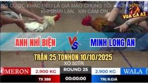 Trận 25 TonHon 10/10/2025 - Điều Lá Má Minh Đâm Bướm Anh Nhí Tắt Thở