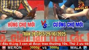 Trận 28 CPC5 29/10/2025 - Anh Hùng Chợ Mới Và Anh Cường Chợ Mới