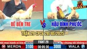Trận 29 CPC6 28/10/2025 - Điều Vàng Đâm Bướm Hiệu Anh Bé Bay Bồ