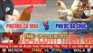 Trận 3 CPC5 26/10/2025 - Phương Cà Mau Và Anh Phước Ba Chúc