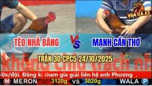 Trận 30 CPC5 24/10/2025 - Anh Tèo Nhà Bàng Và Anh Mạnh Cần Thơ