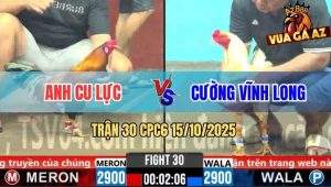 Trận 30 CPC6 15/10/2025 - Gà Bướm Anh Cường Bá Vô Là Có Kết Quả