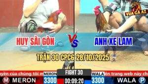 Trận 30 CPC6 28/10/2025 - Điều Đuôi Lao Đá Cây Hang Cua Xám Phun Si Rô