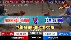 Trận 30 TonHon 10/10/2025 - Anh Minh Hậu Giang Và Anh Tâm An Phú