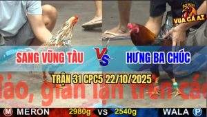 Trận 31 CPC5 22/10/2025 - Anh Sang Vũng Tàu Và Anh Hưng Ba Chúc