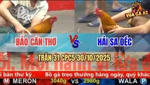 Trận 31 CPC5 30/10/2025 - Anh Bảo Cần Thơ Và Anh Hải Sa Đéc